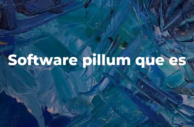 Software Pillum que es