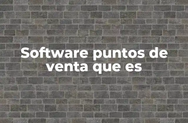 Software Puntos de Venta que es