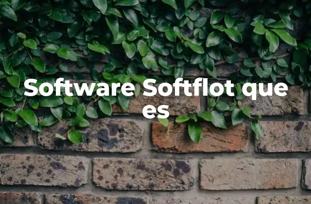 Software Softflot que es