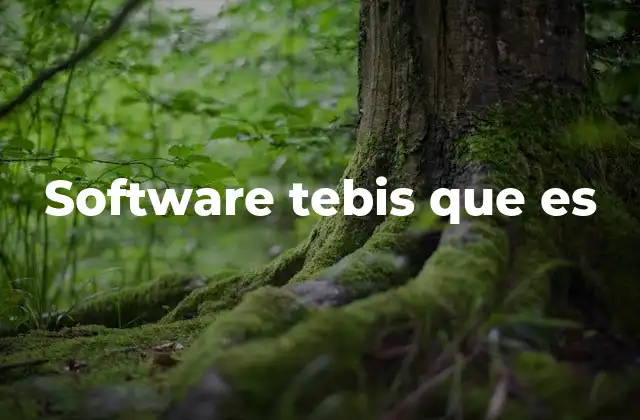 Software Tebis que es