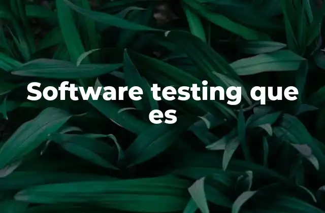 Software Testing que es