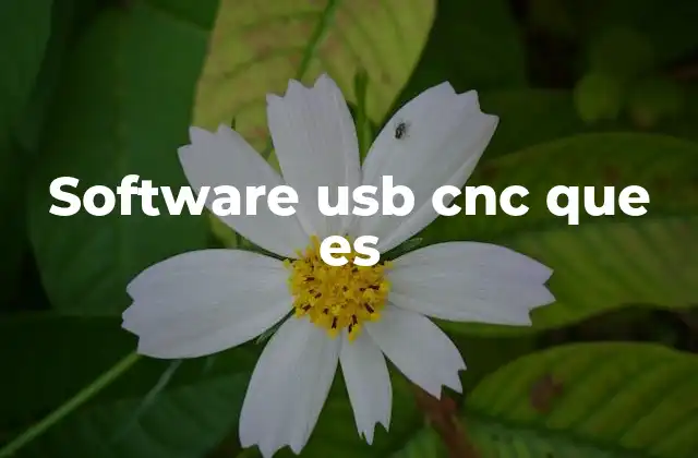 Software Usb Cnc que es