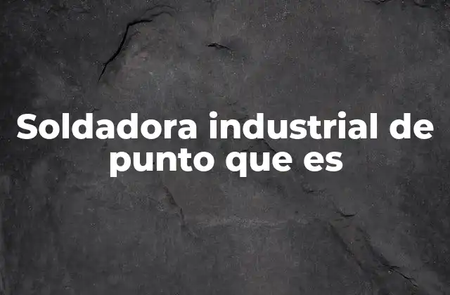 Soldadora Industrial de Punto que es
