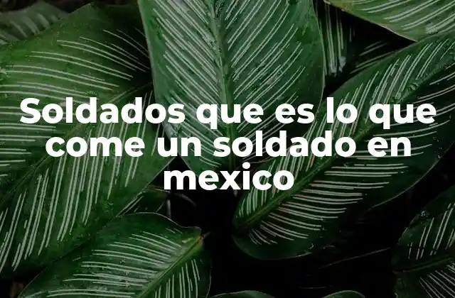 La importancia de la nutrición en el ejército mexicano