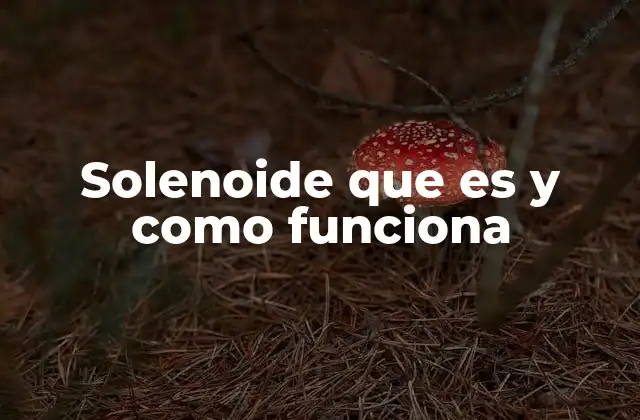 Solenoide que es y como Funciona