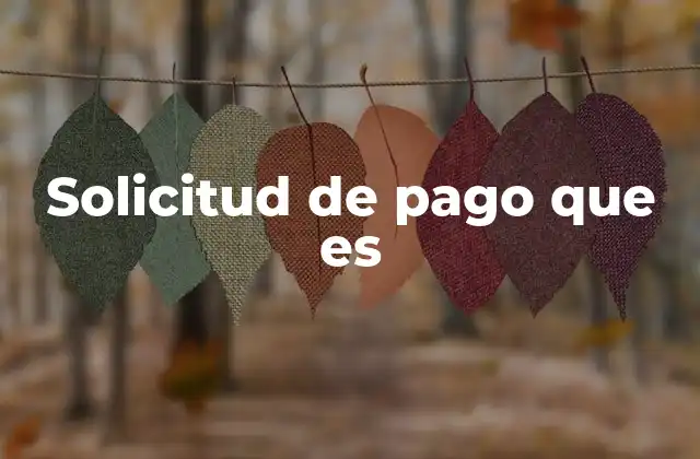 Solicitud de Pago que es