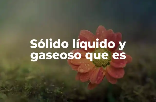 Sólido Líquido y Gaseoso que es