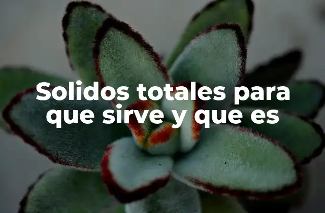 Solidos Totales para que Sirve y que es 2 La importancia de los sólidos totales en la calidad de los alimentos