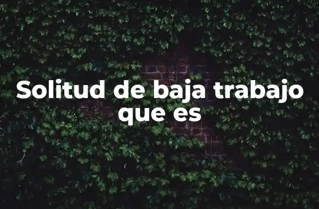 Solitud de Baja Trabajo que es