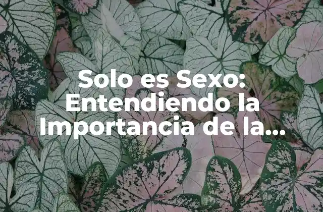 Solo es Sexo: Entendiendo la Importancia de la Intimidad en las Relaciones