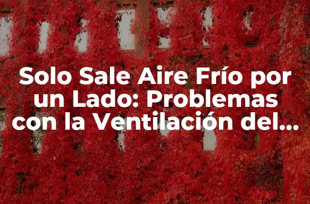 Solo Sale Aire Frío por un Lado: Problemas con la Ventilación Del Aire Acondicionado