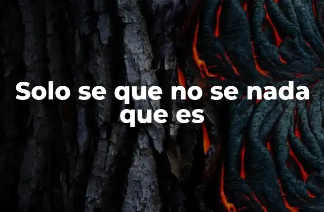 Solo Se que No Se Nada que es 2 El origen filosófico de esta idea