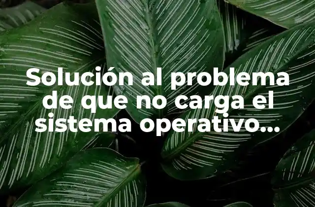 Solución Al Problema de que No Carga el Sistema Operativo Windows 7