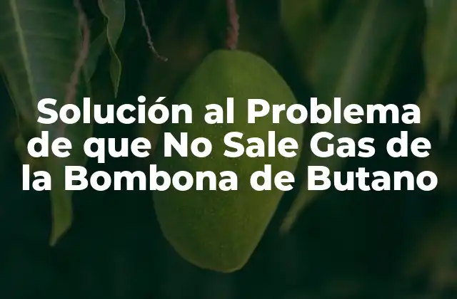 Solución Al Problema de que No Sale Gas de la Bombona de Butano