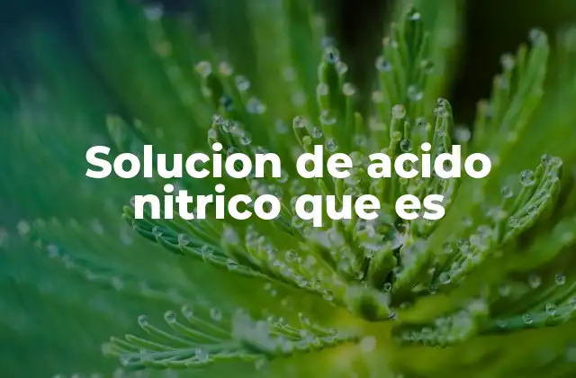 Solucion de Acido Nitrico que es