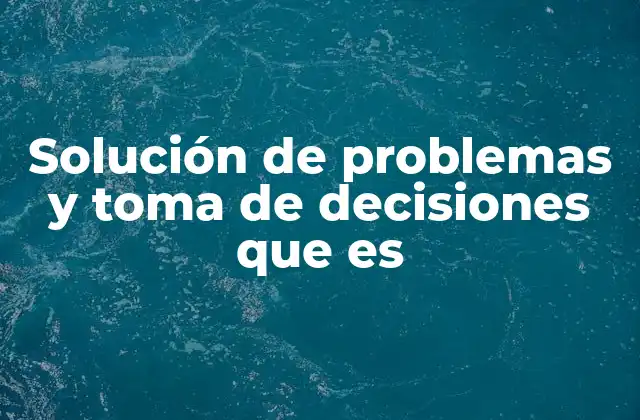Solución de Problemas y Toma de Decisiones que es