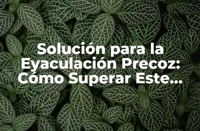 Solución para la Eyaculación Precoz: Cómo Superar Este Problema Común