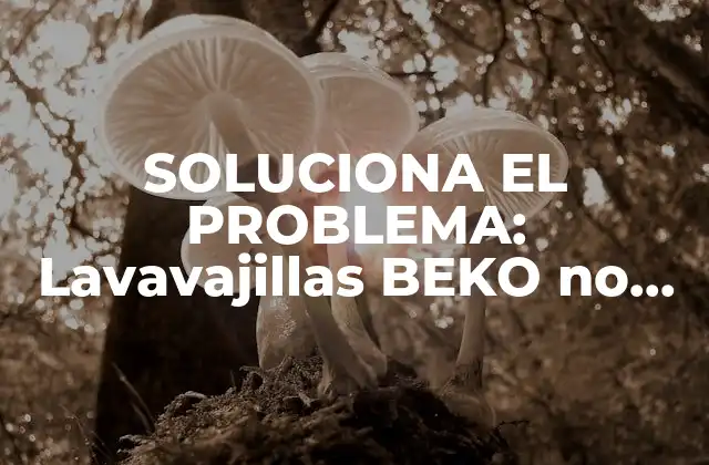 Soluciona el Problema: Lavavajillas Beko No Deja de Funcionar