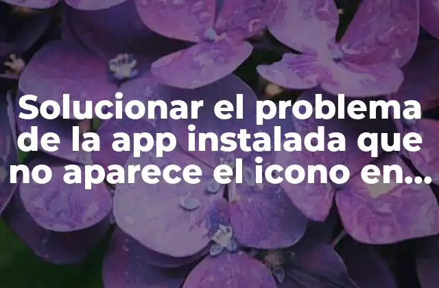 Solucionar el Problema de la App Instalada que No Aparece el Icono en Android