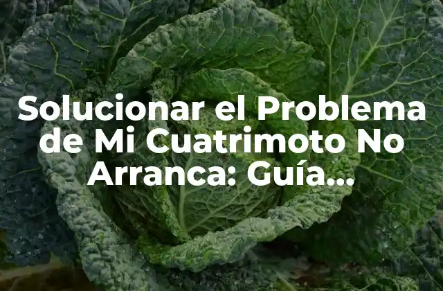 Solucionar el Problema de Mi Cuatrimoto No Arranca: Guía Definitiva