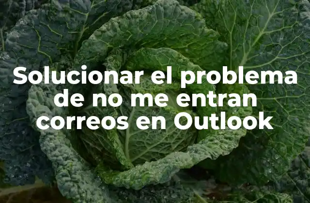 Solucionar el Problema de No Me Entran Correos en Outlook