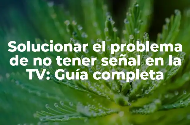 Solucionar el Problema de No Tener Señal en la Tv: Guía Completa