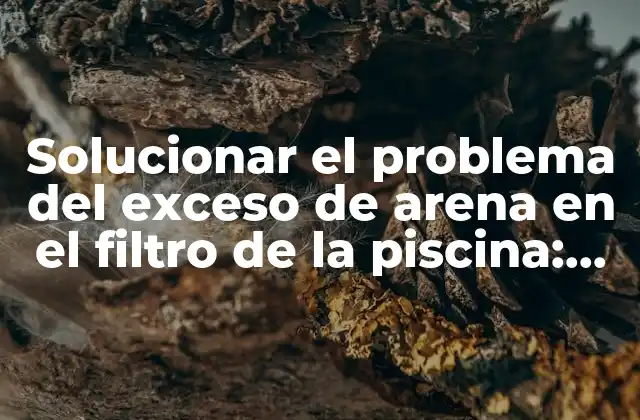 Solucionar el Problema Del Exceso de Arena en el Filtro de la Piscina: Guía Completa