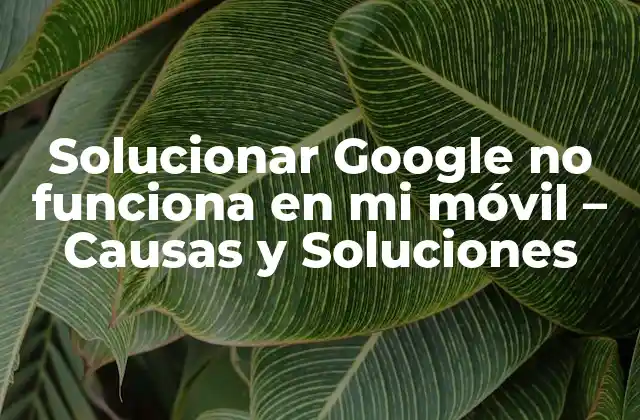 Solucionar Google No Funciona en Mi Móvil – Causas y Soluciones