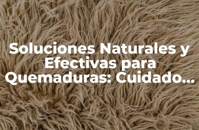 Soluciones Naturales y Efectivas para Quemaduras: Cuidado y Tratamiento