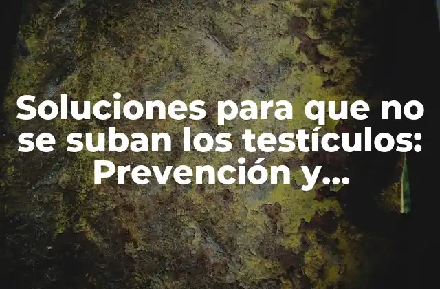 Soluciones para que No Se Suban los Testículos: Prevención y Tratamiento Del Descenso Testicular