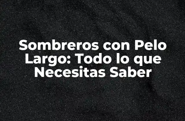 Sombreros con Pelo Largo: Todo Lo que Necesitas Saber