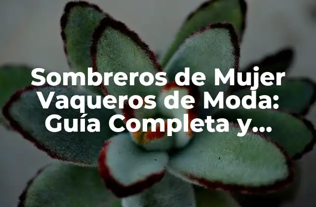 Sombreros de Mujer Vaqueros de Moda: Guía Completa y Actualizada