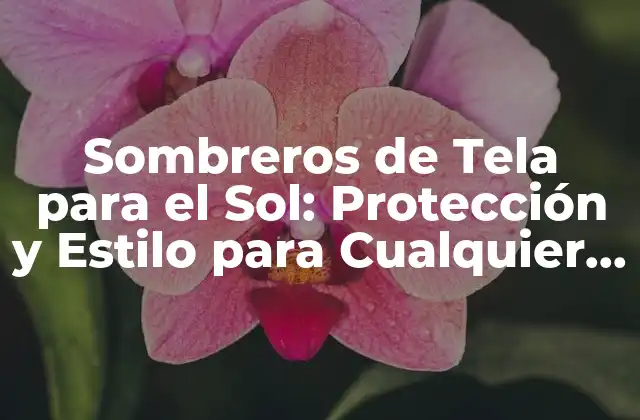 Sombreros de Tela para el Sol: Protección y Estilo para Cualquier Ocasión