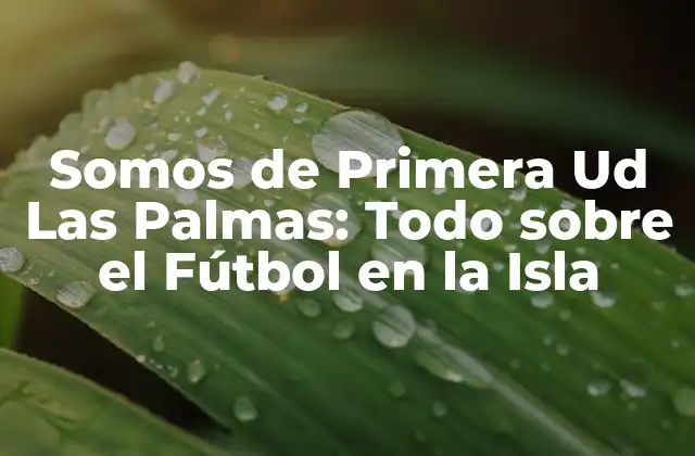 Somos de Primera Ud las Palmas: Todo sobre el Fútbol en la Isla