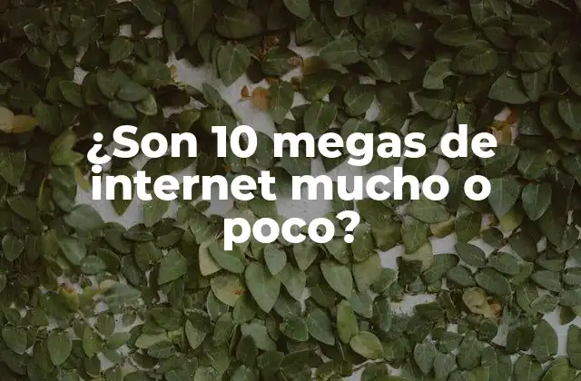 ¿son 10 Megas de Internet Mucho o Poco?