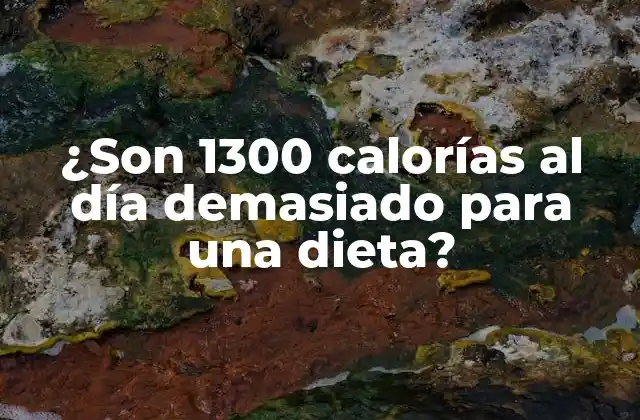 ¿son 1300 Calorías Al Día Demasiado para una Dieta?