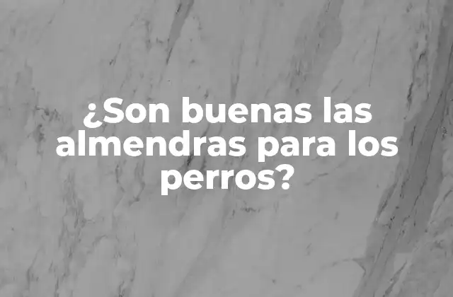 ¿son Buenas las Almendras para los Perros?