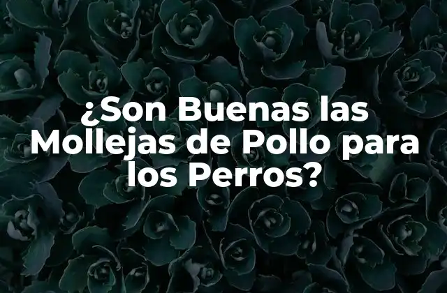 ¿son Buenas las Mollejas de Pollo para los Perros?