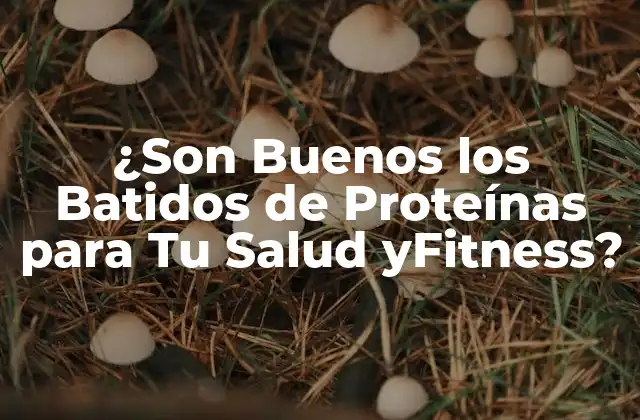 ¿son Buenos los Batidos de Proteínas para Tu Salud Yfitness?