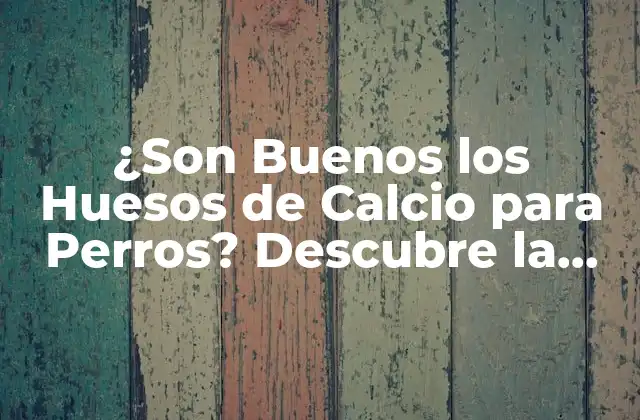 ¿son Buenos los Huesos de Calcio para Perros? Descubre la Verdad