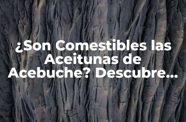 ¿son Comestibles las Aceitunas de Acebuche? Descubre la Verdad