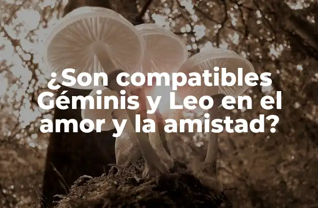 ¿son Compatibles Géminis y Leo en el Amor y la Amistad?