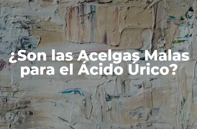 ¿son las Acelgas Malas para el Ácido Úrico? 2 ¿Qué son las Acelgas?