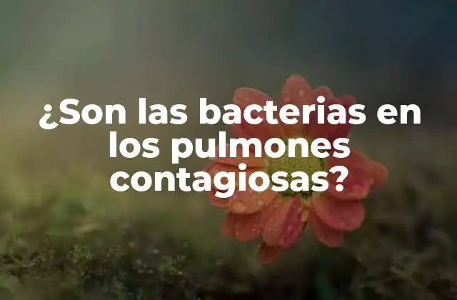¿son las Bacterias en los Pulmones Contagiosas? 2 Causas de las bacterias en los pulmones