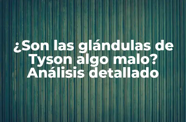 ¿son las Glándulas de Tyson Algo Malo? Análisis Detallado