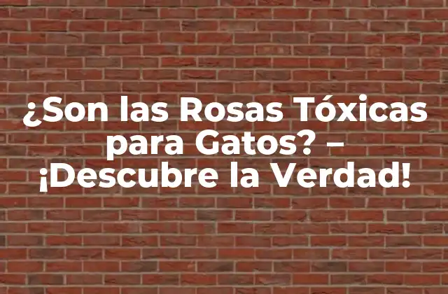 ¿son las Rosas Tóxicas para Gatos? – ¡descubre la Verdad!