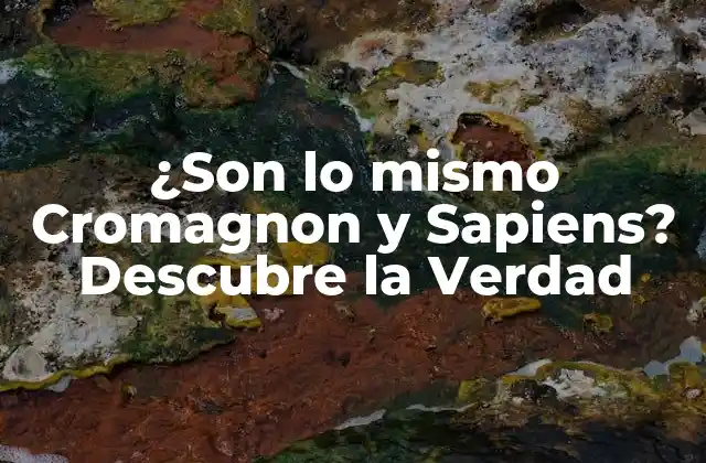 ¿son Lo Mismo Cromagnon y Sapiens? Descubre la Verdad