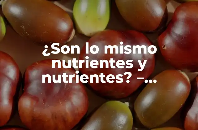 ¿son Lo Mismo Nutrientes y Nutrientes? – Diferencias y Similitudes