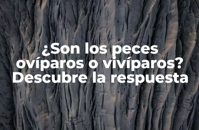 ¿son los Peces Ovíparos o Vivíparos? Descubre la Respuesta