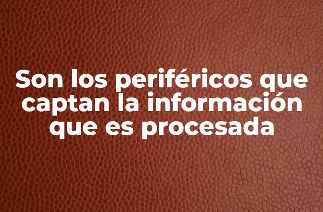 Son los Periféricos que Captan la Información que es Procesada